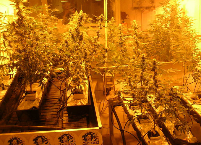 Главные достопримечательности Амстердама: список, фото и описание