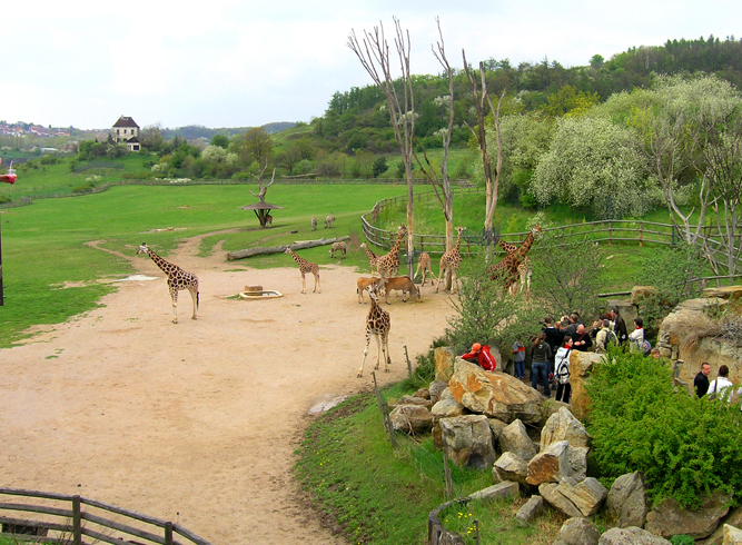 Главные достопримечательности Праги: куда сходить и что посмотреть