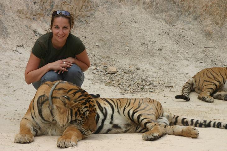 Храм тигров — самый полосатый, рычащий и… умиротворенный