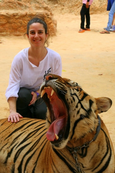 Храм тигров — самый полосатый, рычащий и… умиротворенный