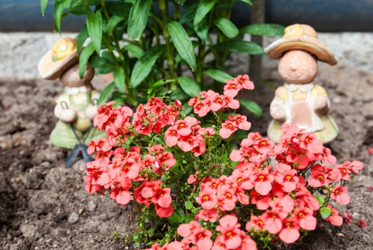 Идеи для дачи своими руками: советы, инструкции