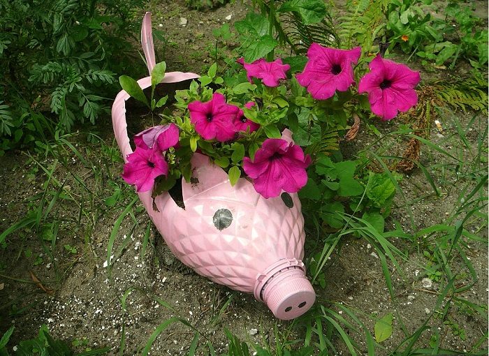 Идеи, как можно преобразить дачный участок