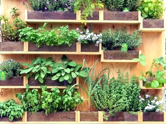 Как бесподобно оформить свой участок, используя ненужные деревянные доски и поленья