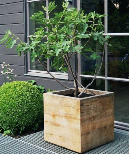 Как бесподобно оформить свой участок, используя ненужные деревянные доски и поленья