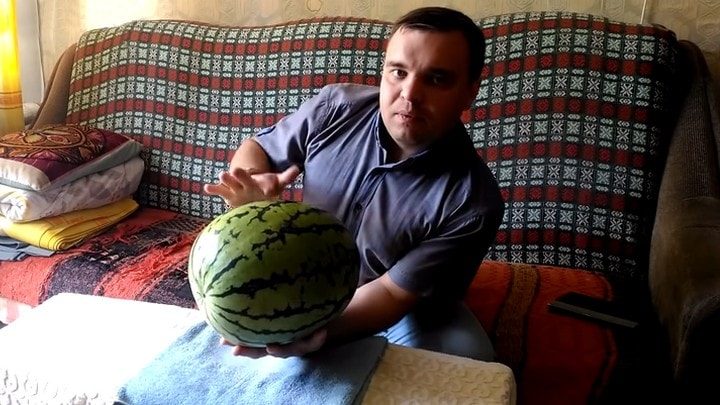 Как не прогадать, покупая арбуз