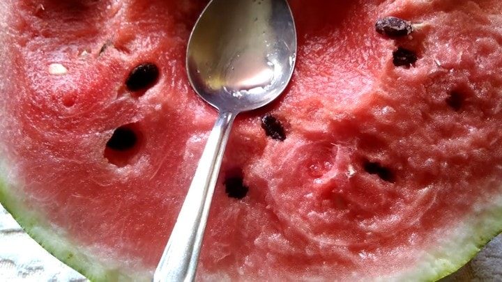 Как не прогадать, покупая арбуз