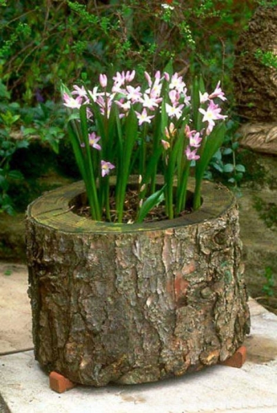 Как обустроить придомовую территорию без больших затрат