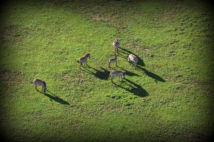 Лучшие места планеты для полётов на воздушных шарах