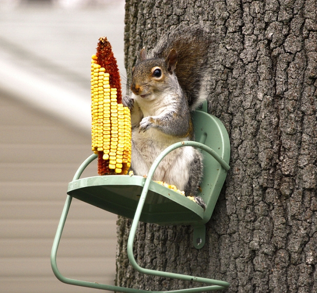 Необычные украшения для сада своими руками