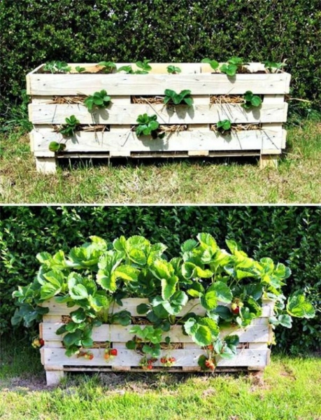 Несколько шикарных идей из деревянных поддонов на даче