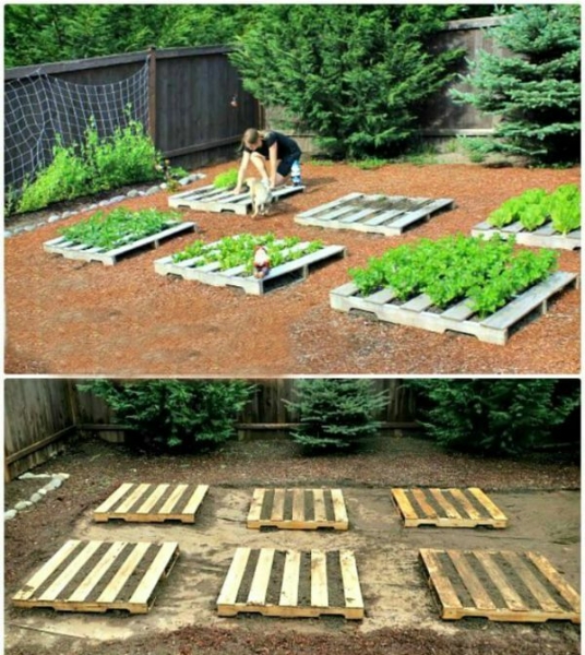 Несколько шикарных идей из деревянных поддонов на даче