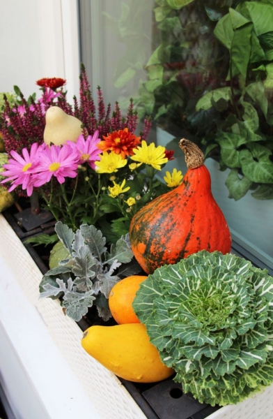 Невероятные идеи, как устроить сад прямо у себя на балконе