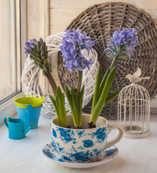 Невероятные идеи, как устроить сад прямо у себя на балконе