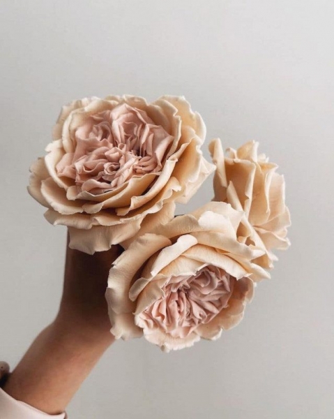 Невероятные сахарные цветы, похожие на настоящие