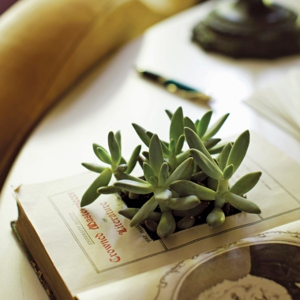 Новые идеи для применения старых вещей