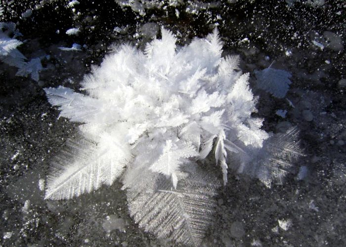 Огненная радуга и дорога гигантов: 15 редких и впечатляющих природных феноменов