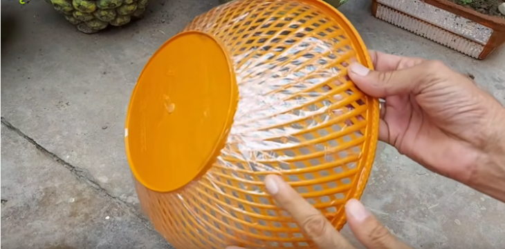 Оригинальная идея использования пластиковой миски