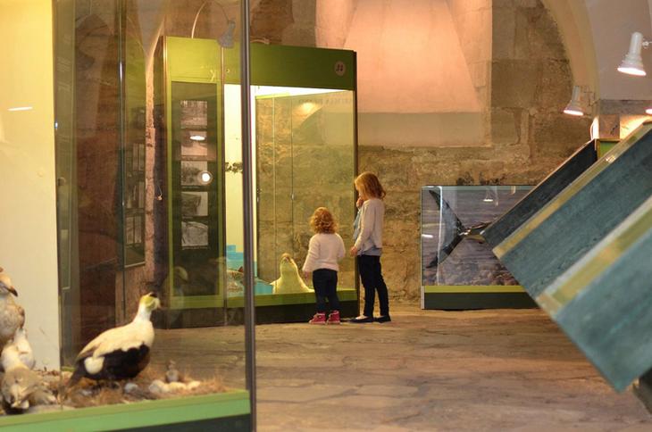 Сааремаа: достопримечательности и что посмотреть