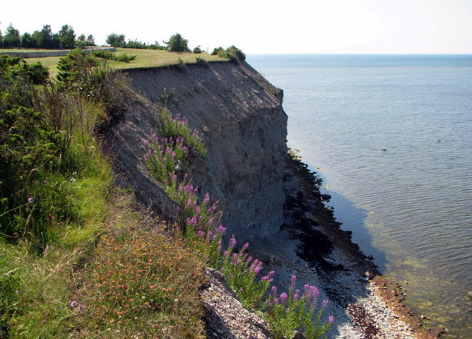 Сааремаа: достопримечательности и что посмотреть
