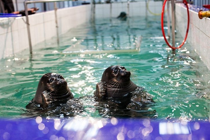 Самые красивые места Байкала