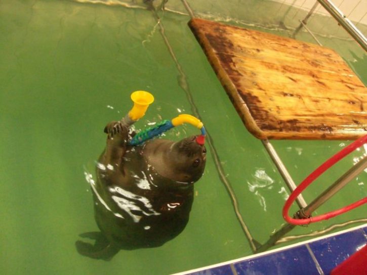 Самые красивые места Байкала