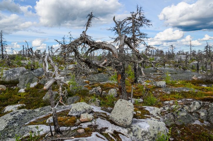 Самые красивые места Карелии