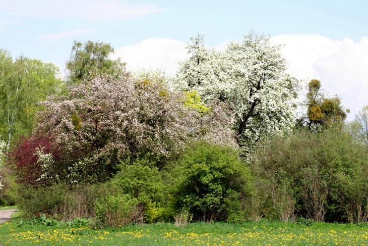 Самые красивые места в Литве