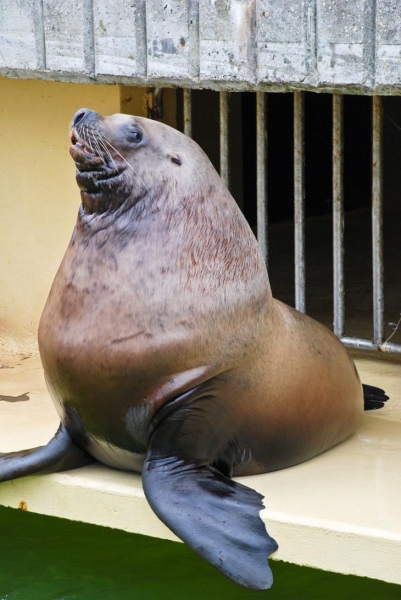 Самые красивые места в Литве