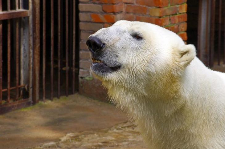 Самые красивые места в Литве