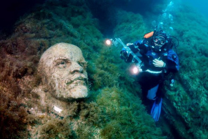 Самые красивые подводные пейзажи