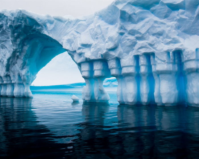 Самые красивые подводные пейзажи