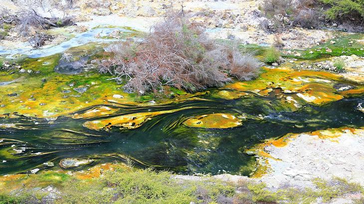 Самые необычные водоемы мира: 10 странных мест, которые вызывают удивление