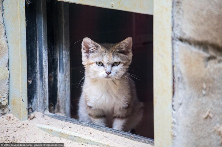 Самый главный зоопарк Германии