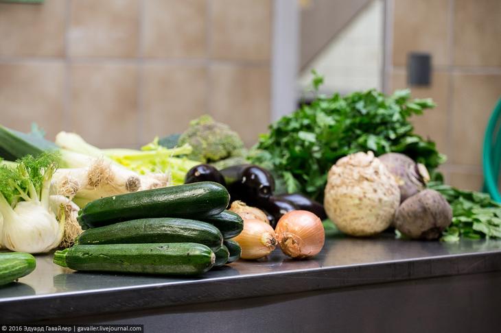 Самый главный зоопарк Германии