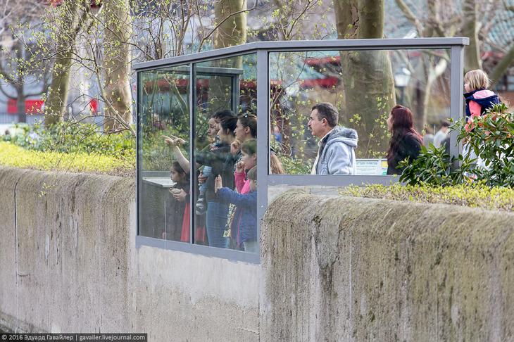 Самый главный зоопарк Германии