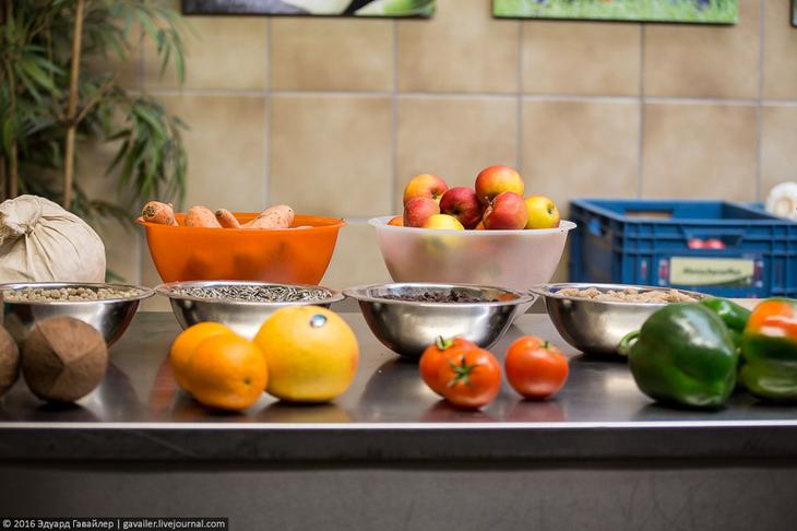 Самый главный зоопарк Германии