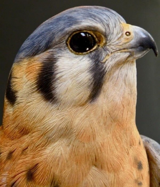 Секреты иллюстрированной резьбы