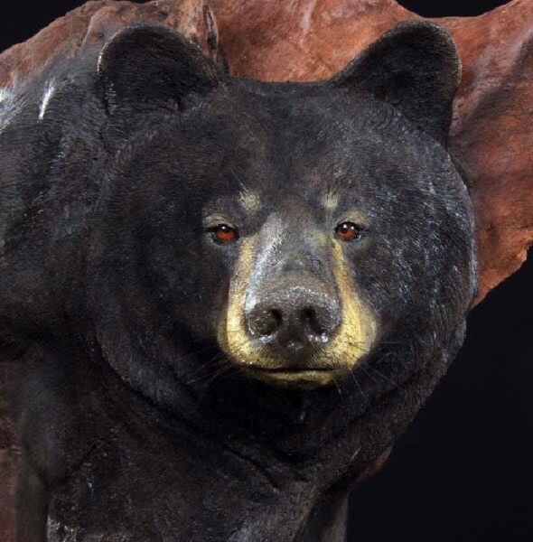 Секреты иллюстрированной резьбы