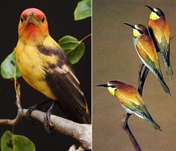 Секреты иллюстрированной резьбы