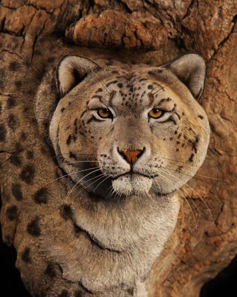 Секреты иллюстрированной резьбы