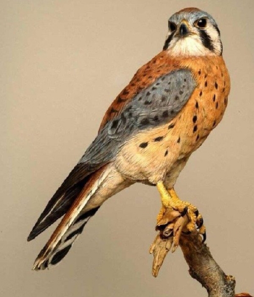 Секреты иллюстрированной резьбы