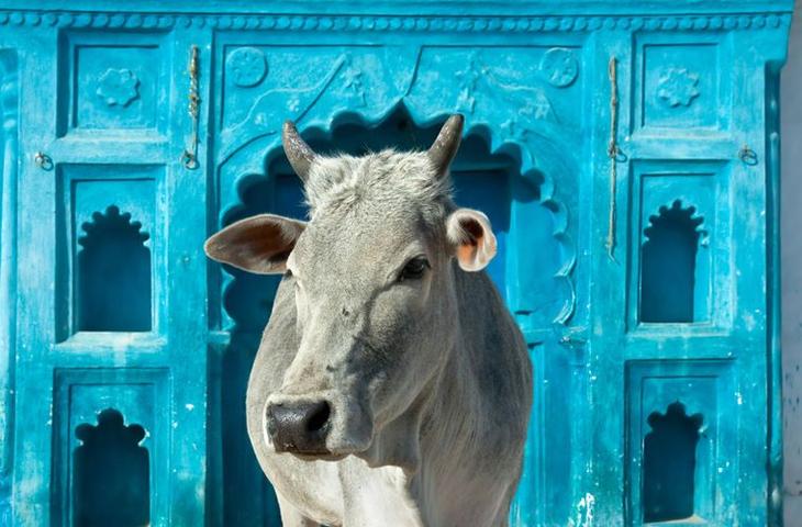 Шокирующие обычаи и традиции Индии