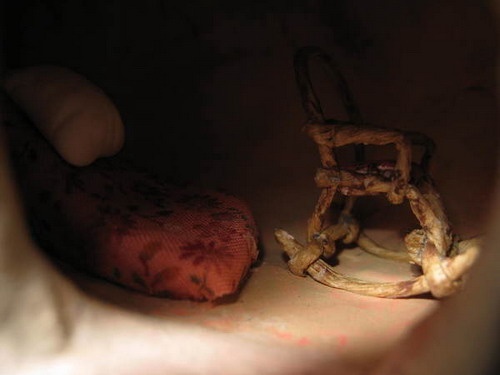 Сказочный домик