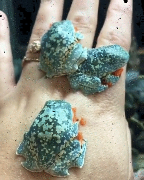 Странные находки, которые захочется рассмотреть поближе