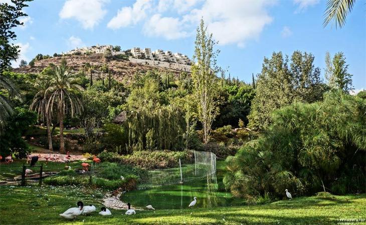 Топ 10 лучших зоопарков мира