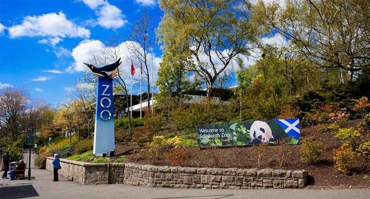 Топ 10 лучших зоопарков мира