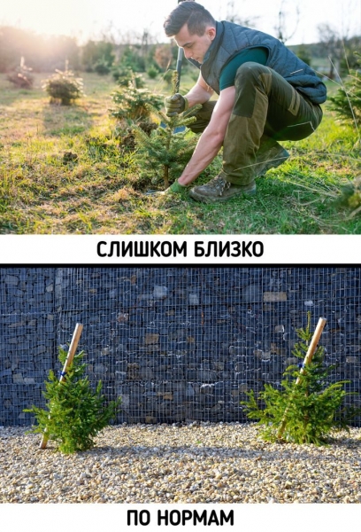 Вещи, которые многие хотят иметь на даче, а потом жалуются и отговаривают других