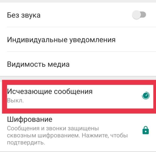 WhatsApp запустил функцию «Исчезающие сообщения», которые удаляются после прочтения