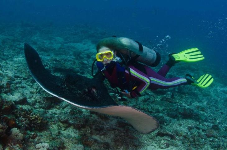 Жемчужина Большого Барьерного рифа: фантастический остров Херон