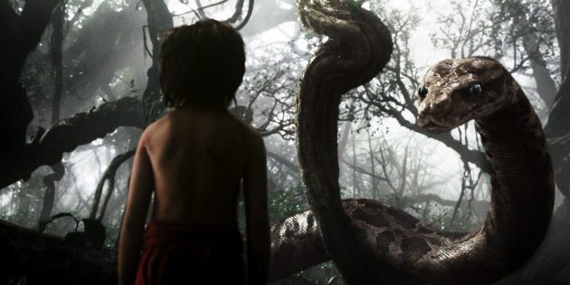 12 популярных мифов о змеях, верить в которые уже просто стыдно